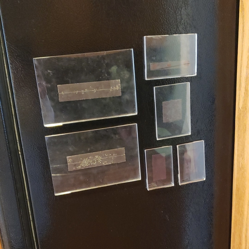 Variety (6) Clear Magnetic Display Frames